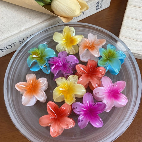 LATAFASHIONS Glossy Flower Jada Klipu Hair Accessory Pack for Women (6 Pcs)